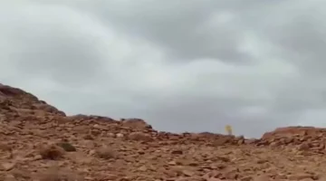 أتربة ورياح قوية.. الأرصاد الجوية تطلق تحذيراً حول طقس الساعات المقبلة في مصر